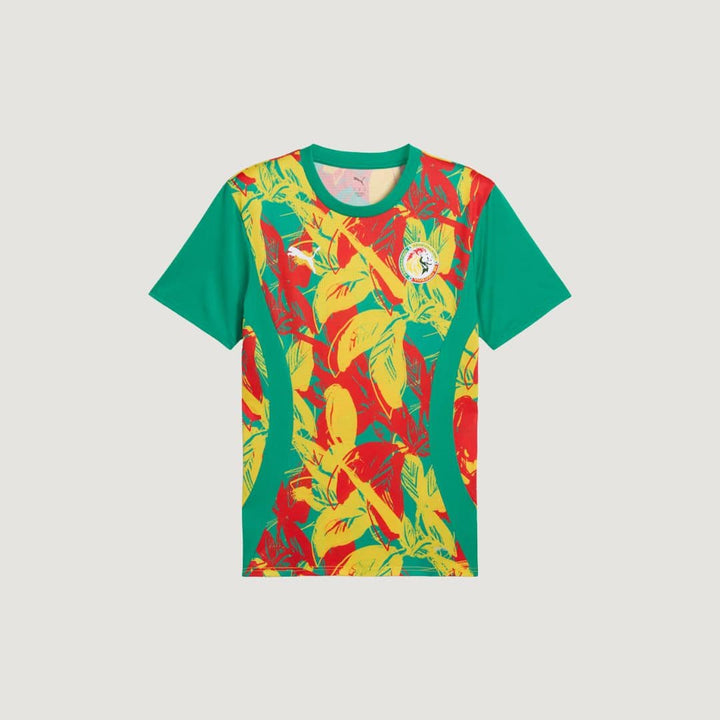Sénégal - Maillot d'avant-match 24/25 - Vert, Jaune et Rouge