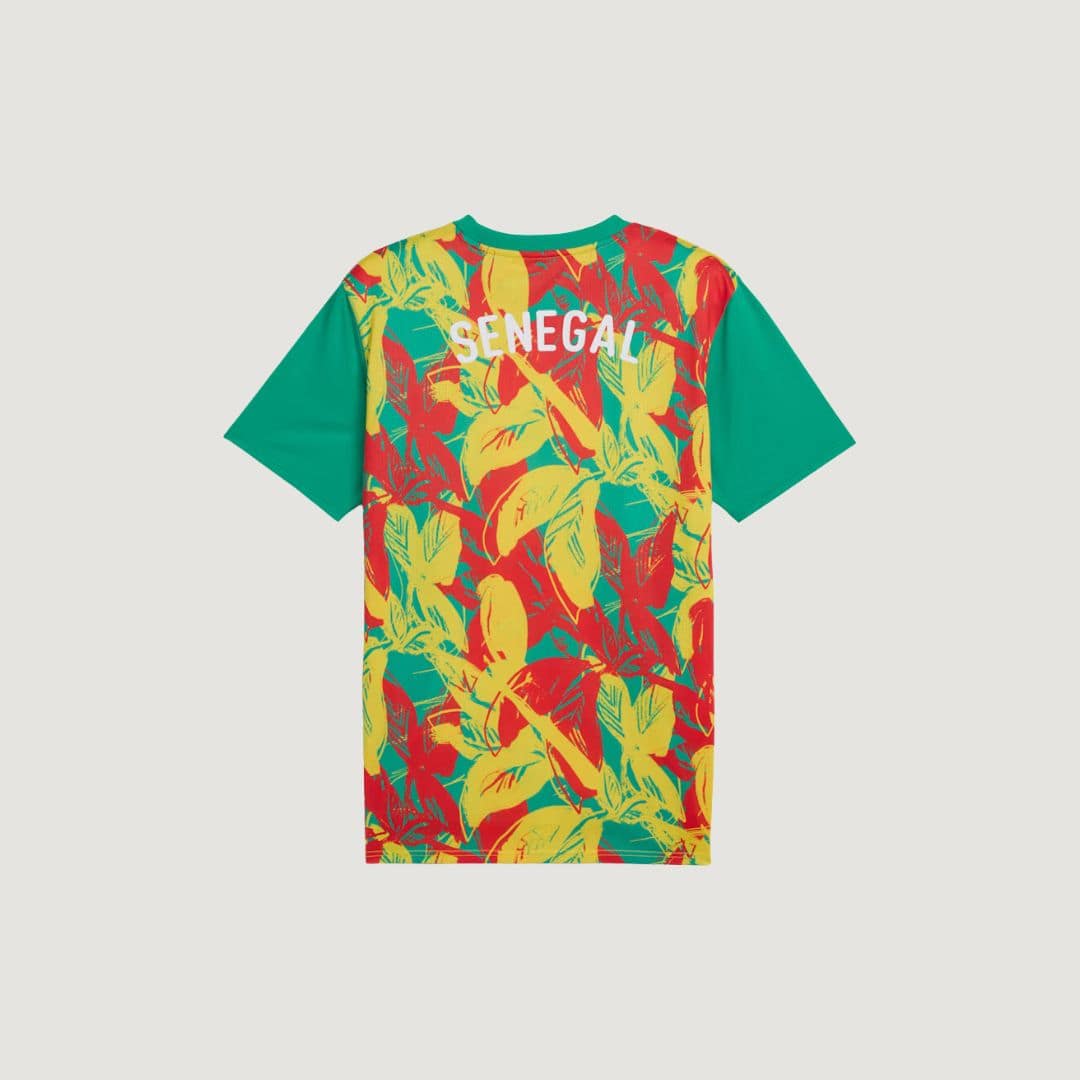 Sénégal - Maillot d'avant-match 24/25 - Vert, Jaune et Rouge