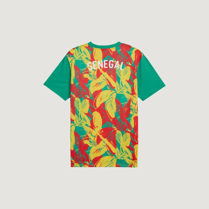 Sénégal - Maillot d'avant-match 24/25 - Vert, Jaune et Rouge